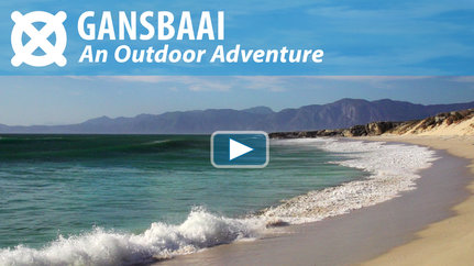 Watch the Gansbaai Video